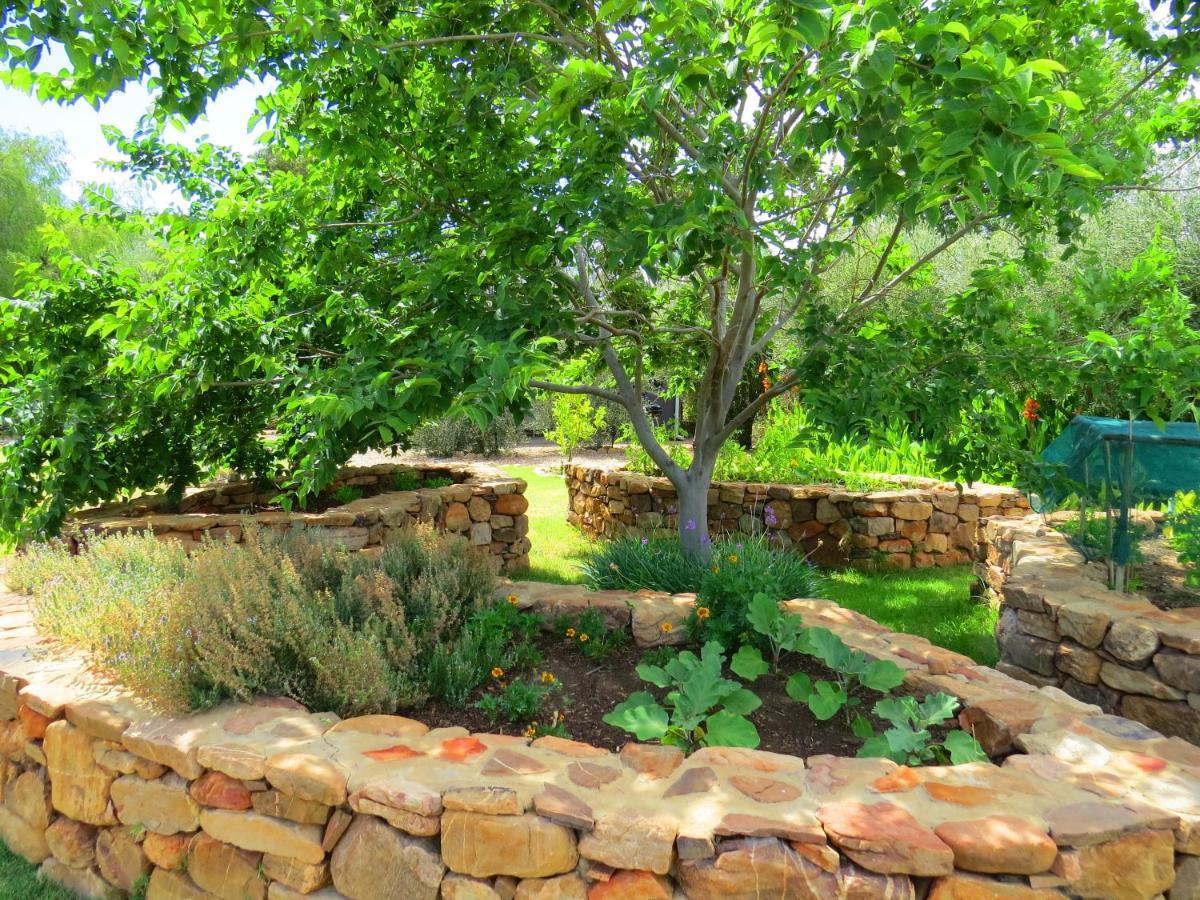 Apartmán Olive Grove Pip Prince Albert Exteriér fotografie
